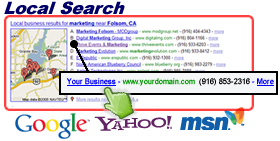 Local Search Preview