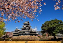 Photo of Matsumoto Castle – splendid collaboration between castle and cherry blossoms