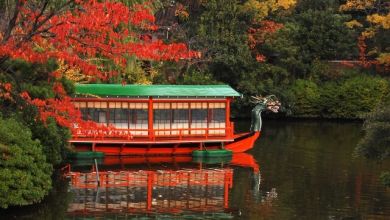 Photo of 4 điểm ngắm lá đỏ đẹp lý tưởng của Kyoto