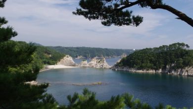 Photo of Bãi biển Jodogahama tỉnh Iwate