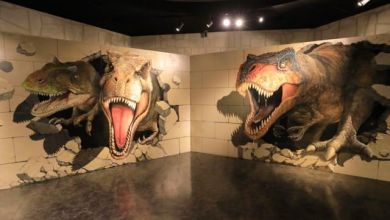 Photo of Art Rick Museum – địa chỉ chụp ảnh độc lạ ở Yokohama