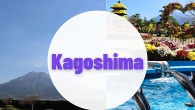Photo of Du lịch Kagoshima: 5 điểm đến lý tưởng cho chuyến đi cuối tuần