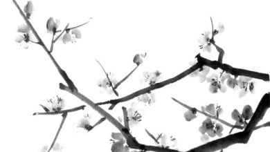 Photo of Nghệ thuật tranh thủy mặc Sumi-e truyền thống của Nhật Bản