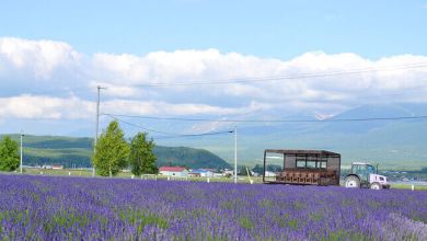 Photo of Du lịch Hokkaido – Những điểm đến không thể bỏ qua