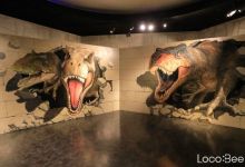 Photo of Art Rick Museum – địa chỉ chụp ảnh độc lạ ở Yokohama