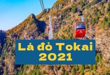 Photo of Top 10 điểm ngắm lá đỏ tuyển chọn khu vực Tokai năm 2021