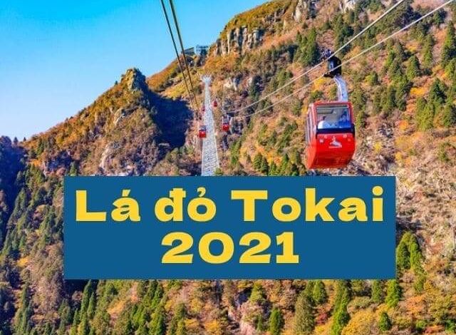 Photo of Top 10 điểm ngắm lá đỏ tuyển chọn khu vực Tokai năm 2021