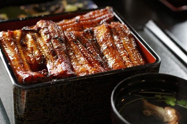 unadon luon unagi