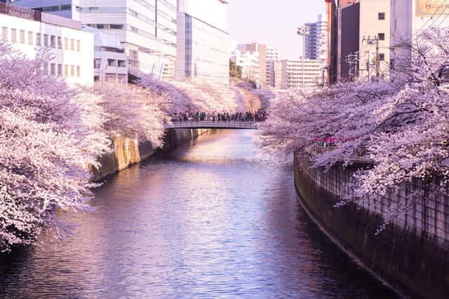 Sông Meguro