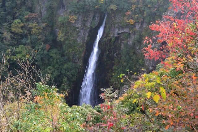 du lịch tỉnh oita