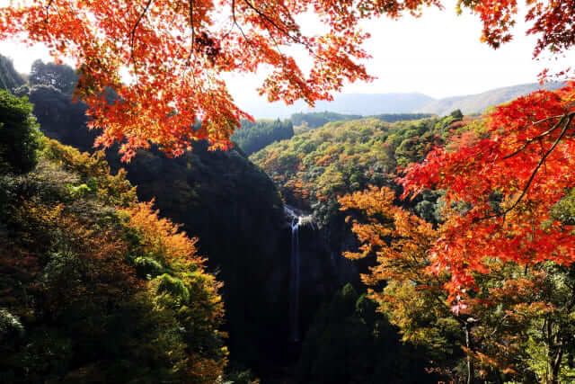 du lịch tỉnh oita