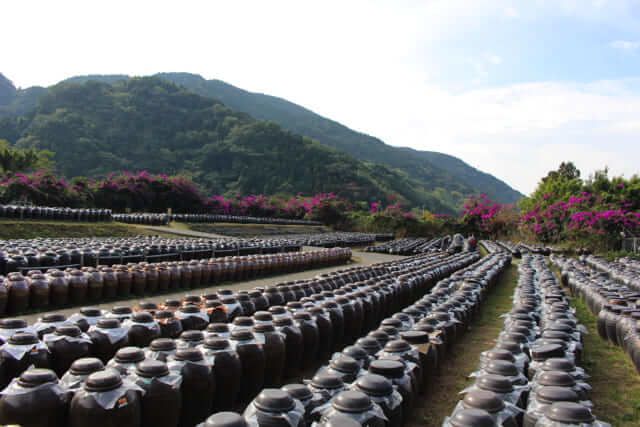 du lịch kagoshima