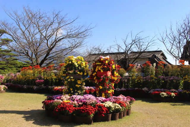 du lịch kagoshima