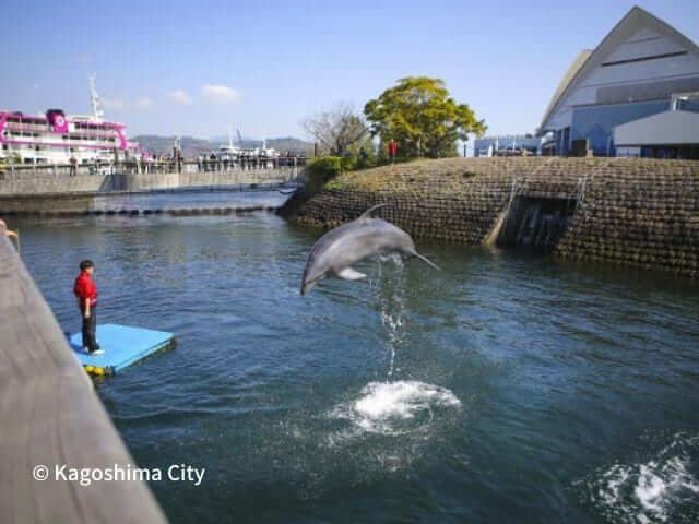 du lịch kagoshima