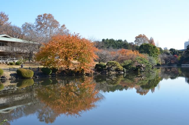 công viên guốc gia shinjukugyoen