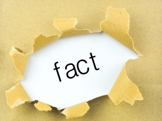 ファクト nghĩa và cách dùng