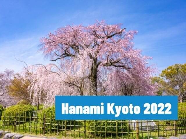 điểm ngắm hoa anh đào ở Kyoto