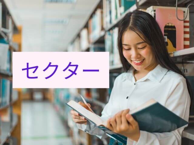 [Từ vựng Katakana] セクター nghĩa và cách dùng