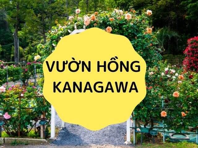 vườn hồng Kanagawa