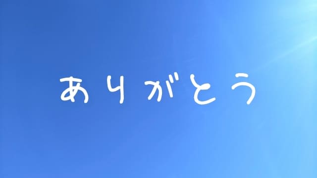 cảm ơn