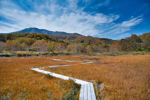 du lịch Tohoku tháng 10