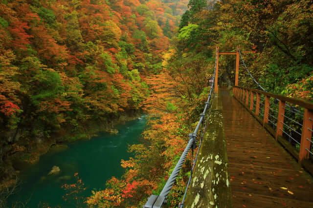 du lịch Tohoku tháng 10