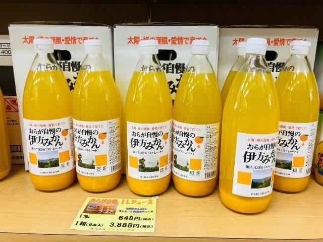 du lịch Ehime Nhật Bản
