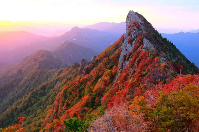 du lịch Ehime Nhật Bản