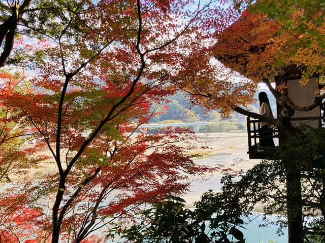 du lịch Ehime Nhật Bản