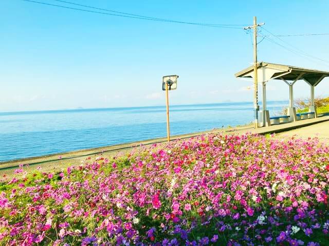 du lịch Ehime Nhật Bản