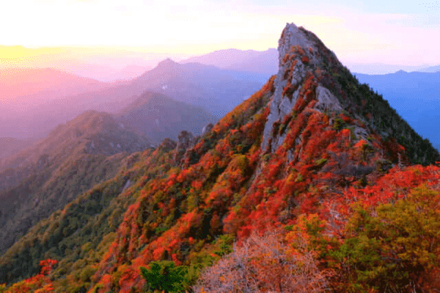 Ehime Ishizuchi