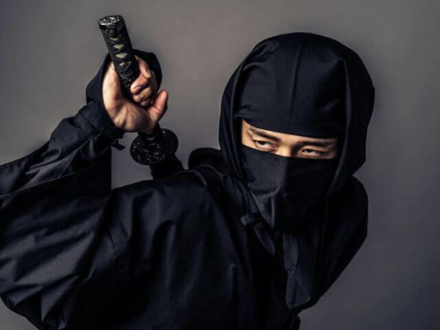 ninja
