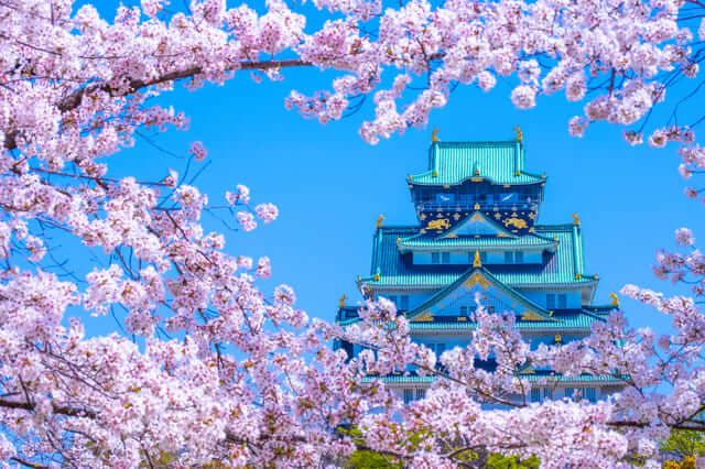 điểm ngắm hoa anh đào đẹp ở Osaka lâu đài Osaka