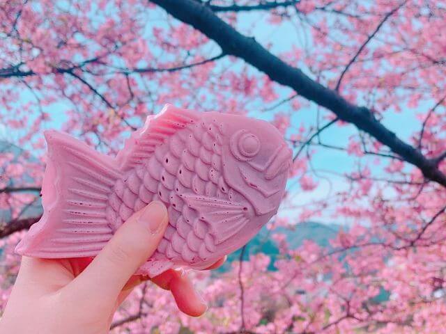món ăn mùa xuân Nhật Bản Bánh cá sakura taiyaki | 桜たい焼き