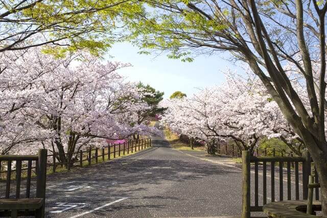 công viên Kaisan, Ehime
