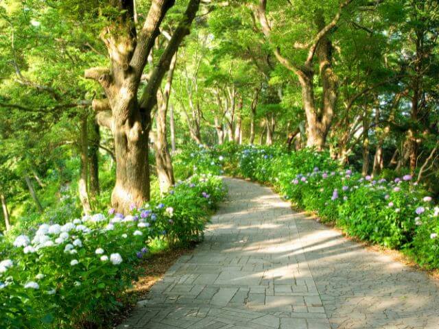 Shimoda Park 