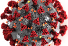 Photo of 10 thông tin chính xác về virus corona từ WHO