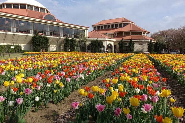 Huis Ten Bosch