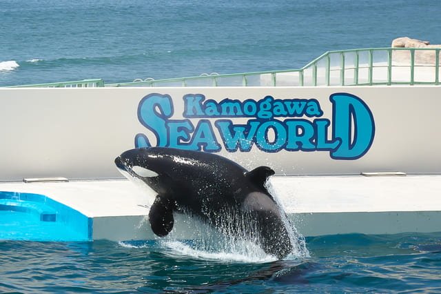 Kamogawa Sea World