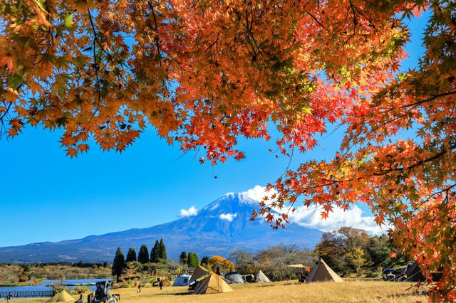 Công viên quốc gia Fuji-Hakone-Izu