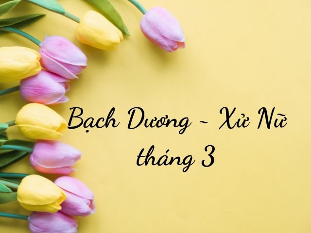 bạch dương