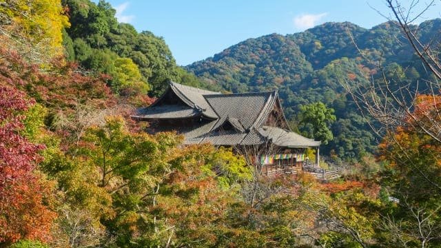 Hasedera Nara